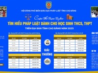 Inforgraphic